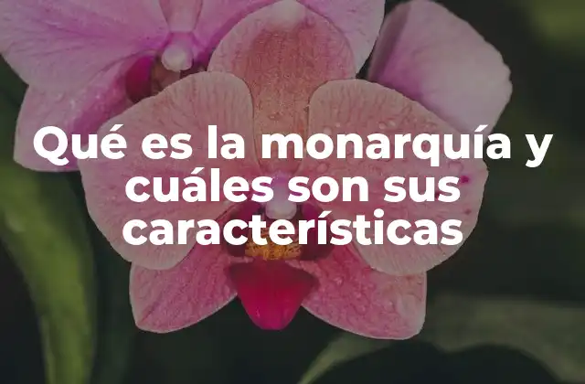La evolución histórica de los sistemas monárquicos