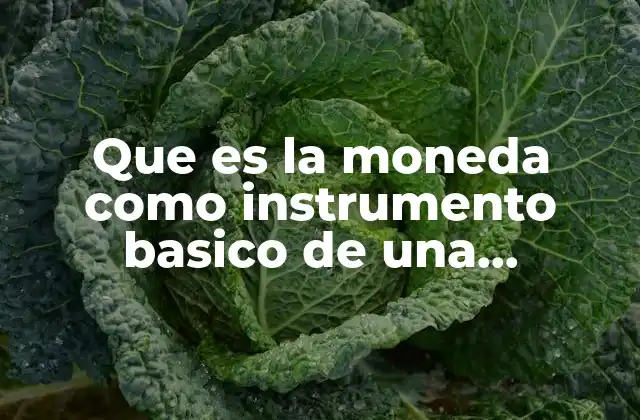 Que es la Moneda como Instrumento Basico de una Economía 2 El papel de la moneda en la organización económica