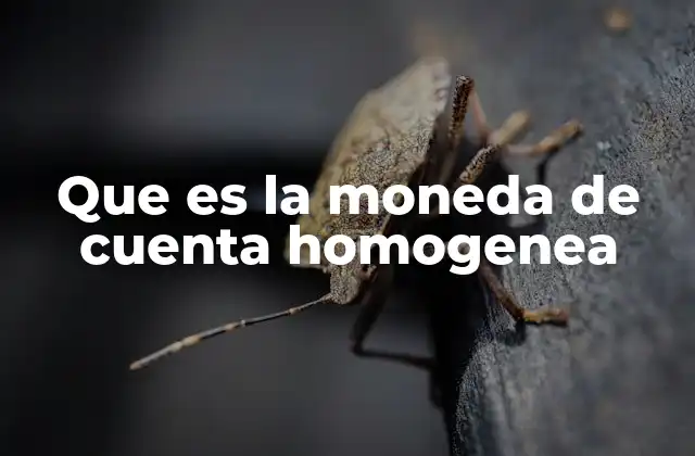 Que es la Moneda de Cuenta Homogenea
