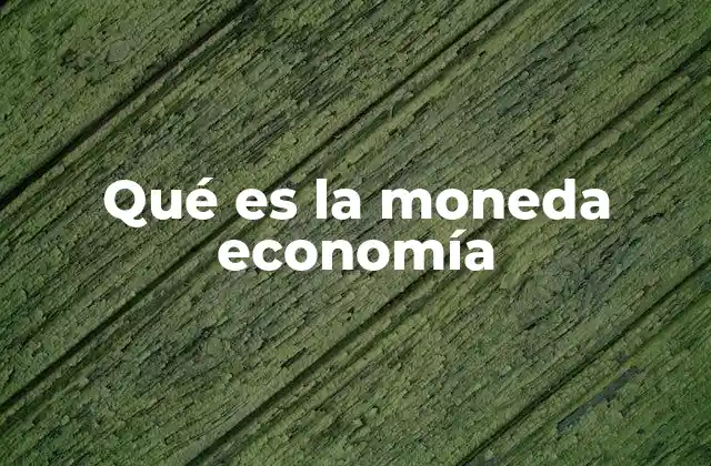 Qué es la Moneda Economía
