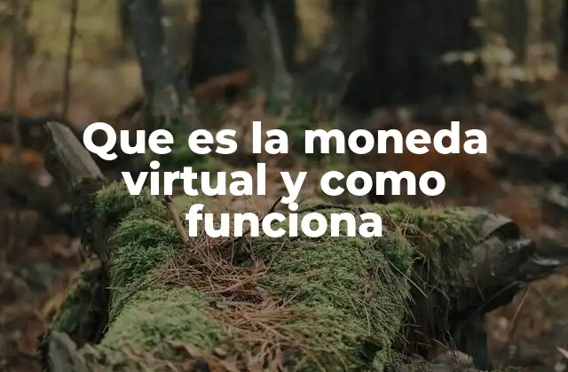 Que es la Moneda Virtual y como Funciona