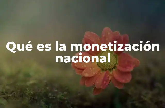 Qué es la Monetización Nacional