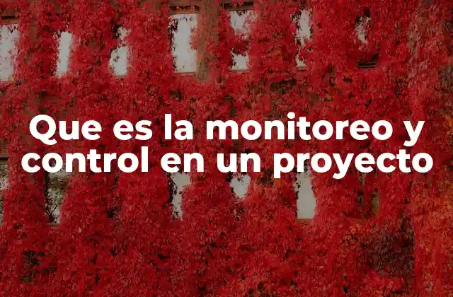 Que es la Monitoreo y Control en un Proyecto
