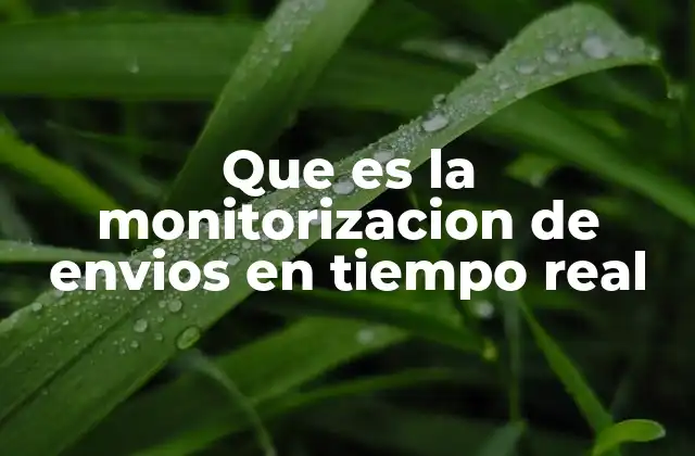 Que es la Monitorizacion de Envios en Tiempo Real