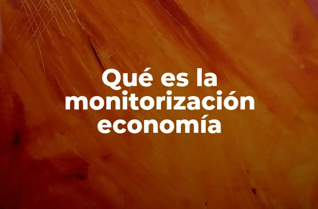 Qué es la Monitorización Economía