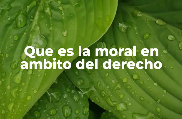 Que es la Moral en Ambito Del Derecho