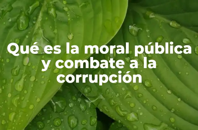 Qué es la Moral Pública y Combate a la Corrupción 2 La importancia de la ética en la gestión pública