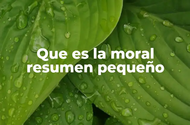 Que es la Moral Resumen Pequeño
