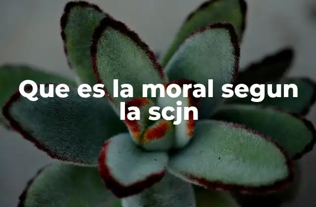 Que es la Moral Segun la Scjn