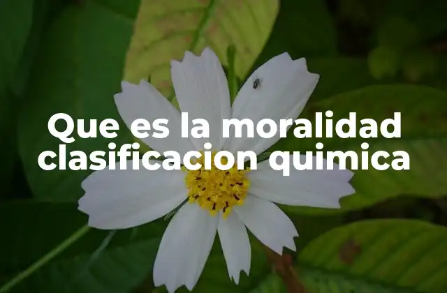 Que es la Moralidad Clasificacion Quimica