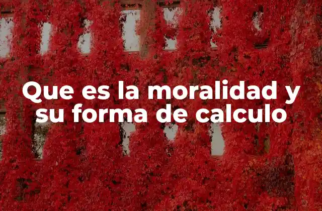 Que es la Moralidad y Su Forma de Calculo 2 La importancia de la moralidad en la toma de decisiones