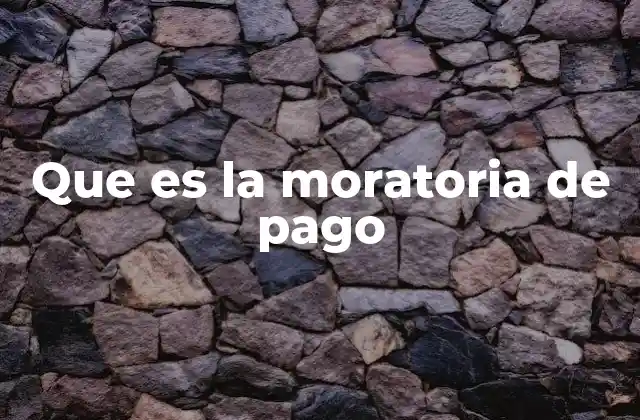 Que es la Moratoria de Pago
