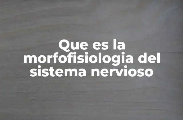 Que es la Morfofisiologia Del Sistema Nervioso