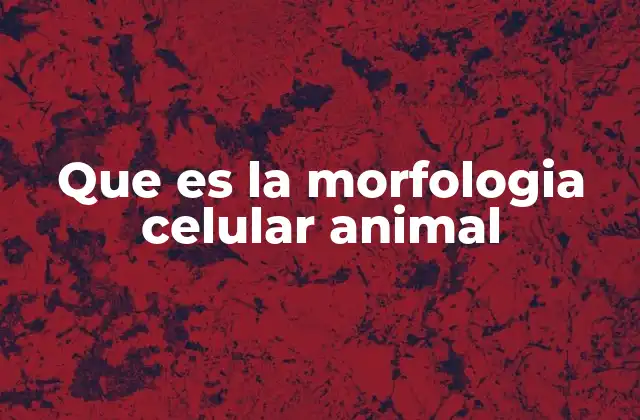 Que es la Morfologia Celular Animal