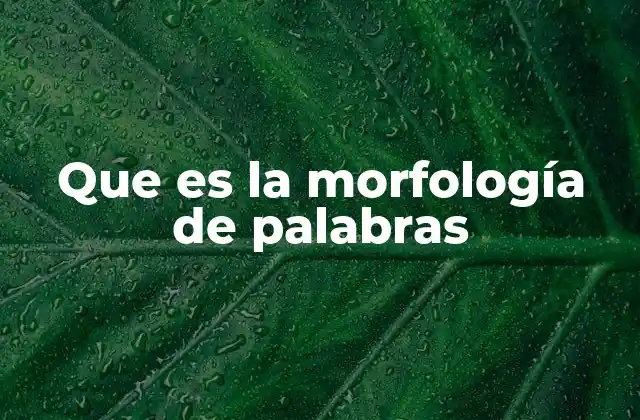 Que es la Morfología de Palabras