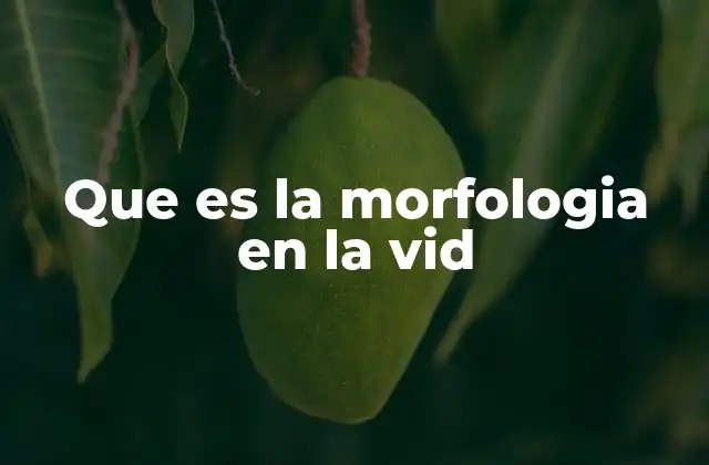 Que es la Morfologia en la Vid