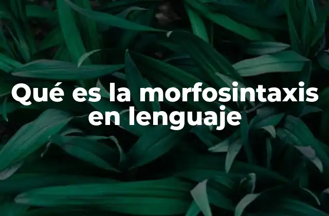 Qué es la Morfosintaxis en Lenguaje