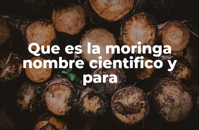 Características principales de la moringa