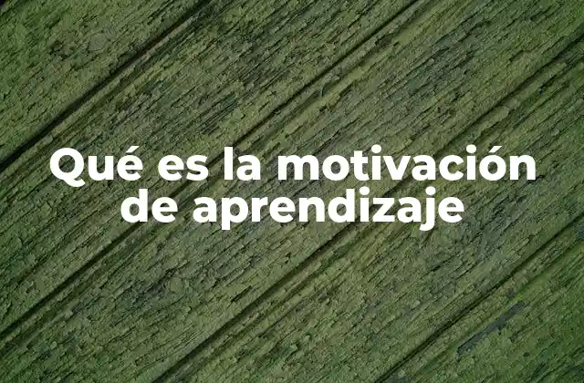 Qué es la Motivación de Aprendizaje