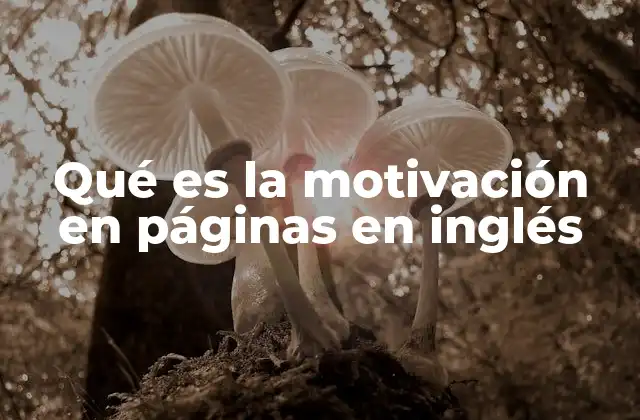 Qué es la Motivación en Páginas en Inglés
