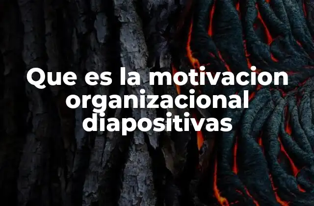 Que es la Motivacion Organizacional Diapositivas