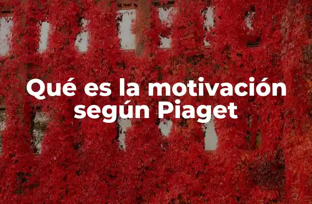 Qué es la Motivación según Piaget