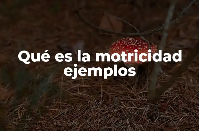 Qué es la Motricidad Ejemplos