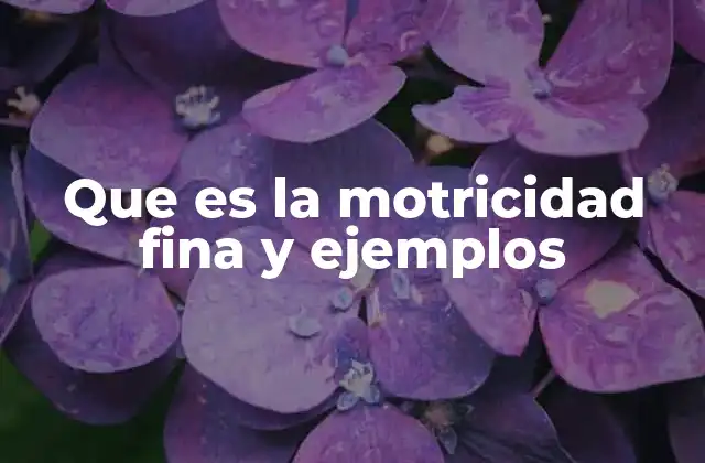 Que es la Motricidad Fina y Ejemplos