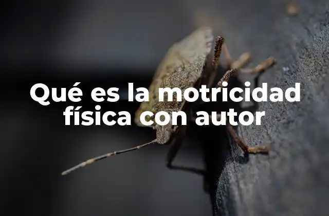 Qué es la Motricidad Física con Autor