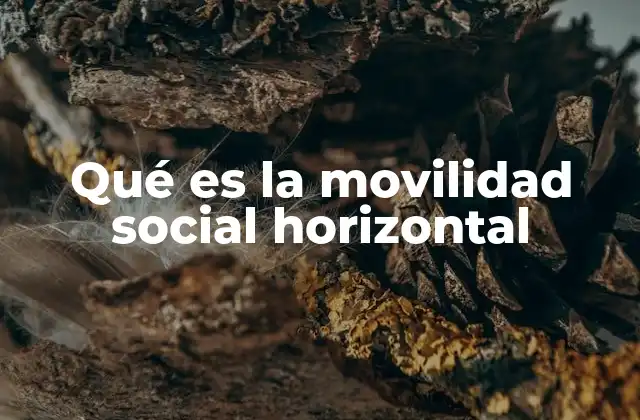 Qué es la Movilidad Social Horizontal