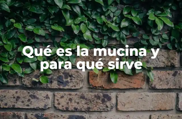 Qué es la Mucina y para Qué Sirve