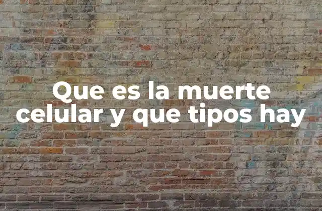 La importancia de la muerte celular en la salud y el desarrollo