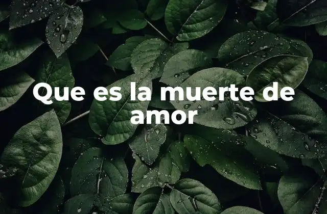 Que es la Muerte de Amor