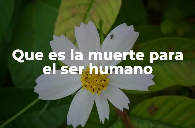 Que es la Muerte para el Ser Humano