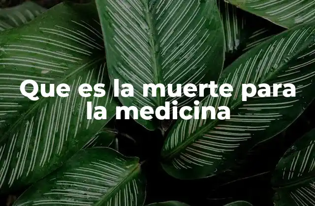 Que es la Muerte para la Medicina