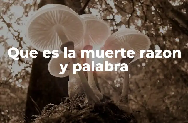 Que es la Muerte Razon y Palabra