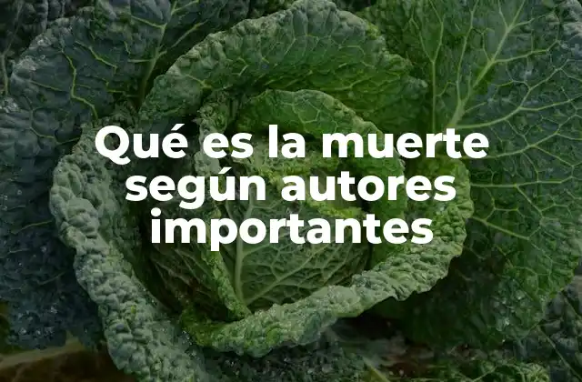 Qué es la Muerte según Autores Importantes