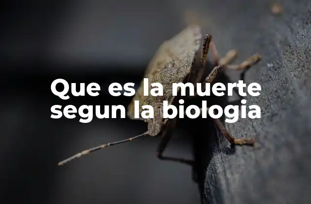 Que es la Muerte Segun la Biologia