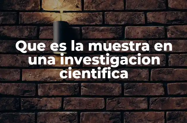 Que es la Muestra en una Investigacion Cientifica 2 La importancia de elegir una muestra adecuada