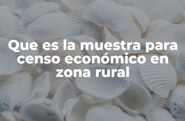 Que es la Muestra para Censo Económico en Zona Rural