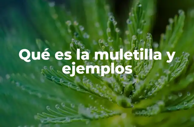 Qué es la Muletilla y Ejemplos