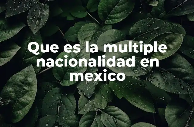 Que es la Multiple Nacionalidad en Mexico