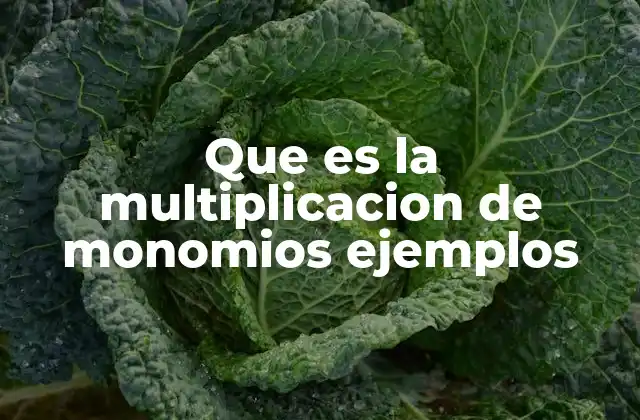 Que es la Multiplicacion de Monomios Ejemplos 2 Cómo funciona la multiplicación de expresiones algebraicas simples