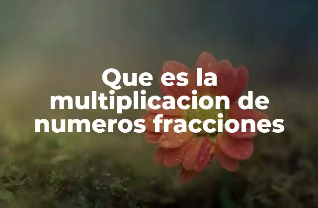 Que es la Multiplicacion de Numeros Fracciones