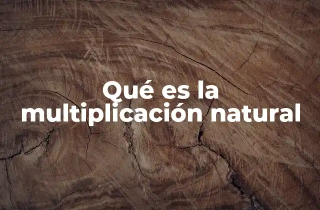 Qué es la Multiplicación Natural