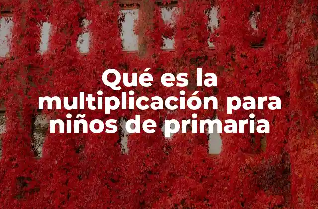 Qué es la Multiplicación para Niños de Primaria