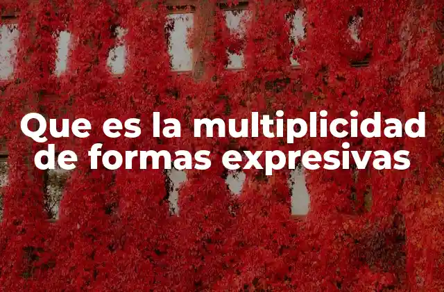 Que es la Multiplicidad de Formas Expresivas