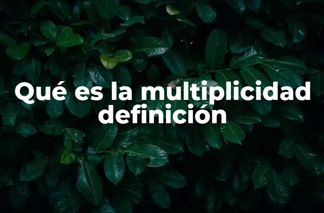 Qué es la Multiplicidad Definición