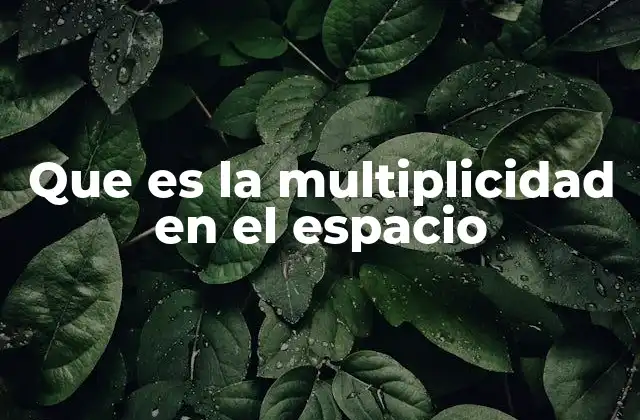 Que es la Multiplicidad en el Espacio