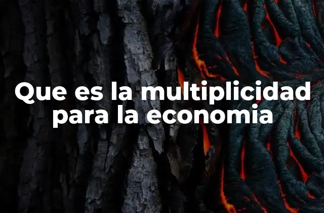 Que es la Multiplicidad para la Economia